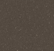 Линолеум Forbo Marmoleum Solid Piano 3632- 363235 sealion фото 1 | FLOORDEALER